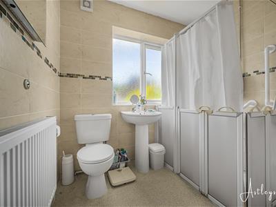 Picture 14